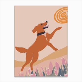 Frisbee Dog Canvas Print