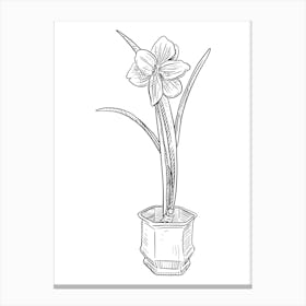 Daffodil 1 Canvas Print