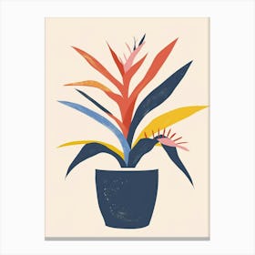 Bromeliad Plant Minimalist Illustration 7 Canvas Print