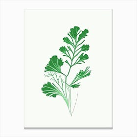 Cilantro (Coriander Leaf) Spices And Herbs Minimal Line Drawing 1 Canvas Print