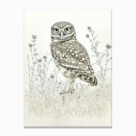 Burrowing Owl Marker Drawing 2 Canvas Print