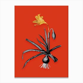 Vintage Amaryllis Broussonetii Black and White Gold Leaf Floral Art on Tomato Red n.0115 Canvas Print