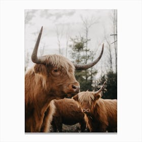 Don'T Mess With Us Canvas Print