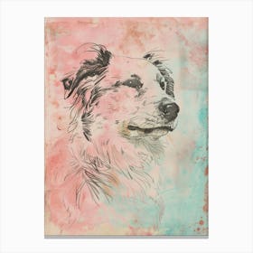 Colourful Polish Lowland Sheepdog Dog Line Illustration 3 Canvas Print