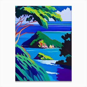 Lord Howe Island Australia Colourful Painting Tropical Destination Canvas Print