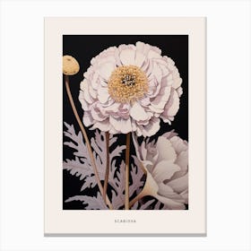 Flower Illustration Scabiosa 2 Poster Canvas Print