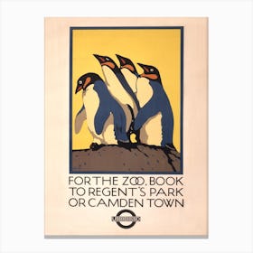 For The Zoo, Book To Regent'S Park Or Camden Town Underground, C Paine Canvas Print