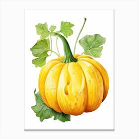 Delicata Squash Pumpkin Watercolour Illustration 4 Canvas Print