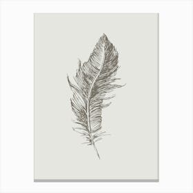 Grey Feather Print 2 Canvas Print