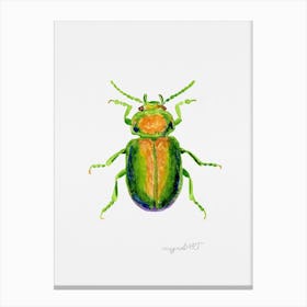 Chrysolina graminis or tansy beetle, watercolor artwork Canvas Print