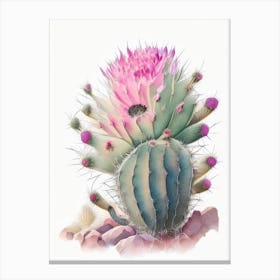 Echinocereus Cactus Pastel Watercolour 1 Canvas Print