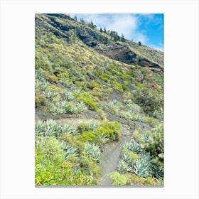 From The Point Green Valley Path Canvas Print