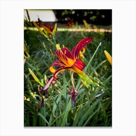 Red And Yellow Lily Photograph Canvas Print