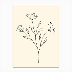 Line Drawing Of Flowers Canvas Print