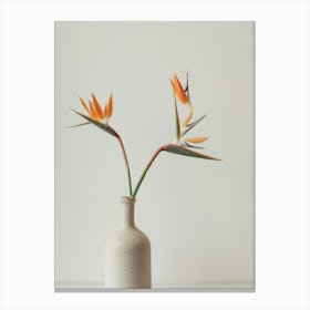 Bird Of Paradise In A Vase Canvas Print