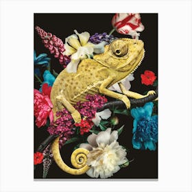 Colorful Chameleon Canvas Print