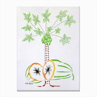 Papaya Perfect Canvas Print