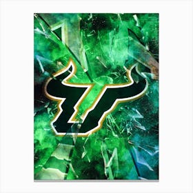 South Florida Bulls 1 Canvas Print