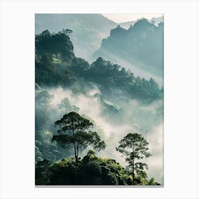 Misty Forest Canvas Print