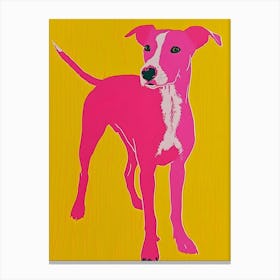 Pink Dog 1 Canvas Print