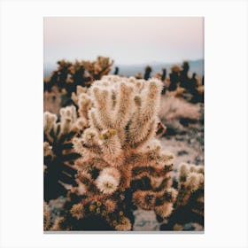 Beige Cactus Scenery Canvas Print
