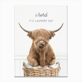 Highland Cow I Herd It S Laundry Day Canvas Print