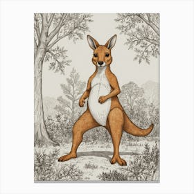 Kangaroo 13 Canvas Print