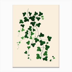 Ivy Plant Minimalist Illustration 7 Canvas Print