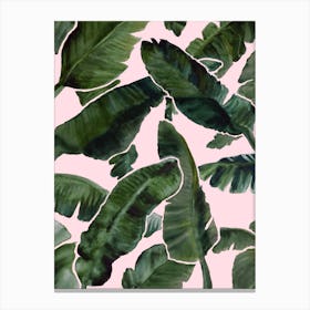 Palms Canvas Print