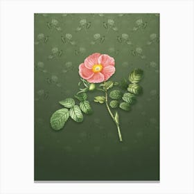 Vintage Japanese Rose Botanical on Lunar Green Pattern n.0865 Canvas Print