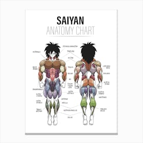 Broly Anatomy Dragon ball Super Canvas Print