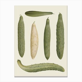 Cucumbers 2 Canvas Print