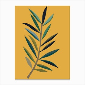 Olive Branch Canvas Print