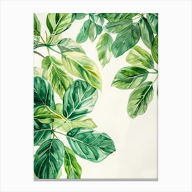 Green Leaves Watercolor Painting Canvas Print