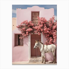 Pink House and a donkey Canvas Print