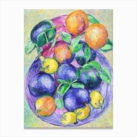 Passionfruit Vintage Sketch Fruit Canvas Print