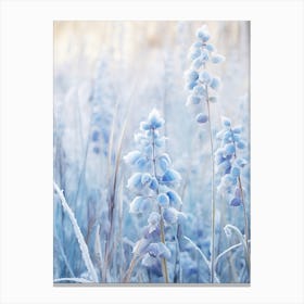 Frosty Botanical Bluebonnet 3 Canvas Print