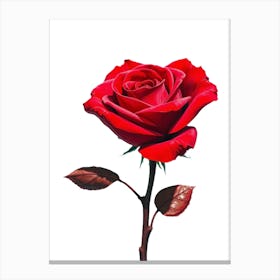 Red Rose Canvas Print