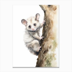 Light Watercolor Painting Of A Climbing Possum 1 Canvas Print