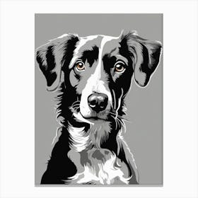 Border Collie Canvas Print