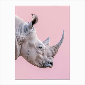 Rhino On Pink Background 2 Canvas Print