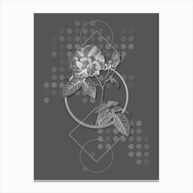 Vintage Apothecary Rose Botanical with Line Motif and Dot Pattern in Ghost Gray n.0012 Canvas Print