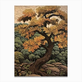 Black Walnut 1 Vintage Autumn Tree Print  Canvas Print