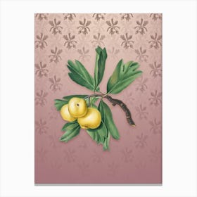 Vintage Hawthorne Botanical on Dusty Pink Pattern n.2365 Canvas Print