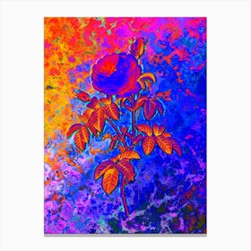 Provence Rose Bloom Botanical in Acid Neon Pink Green and Blue Canvas Print