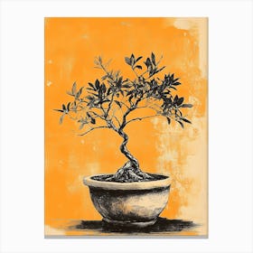 Bonsai Tree Canvas Print