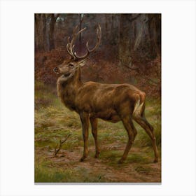 Vintage Painting Stag In The Woods Canvas Print