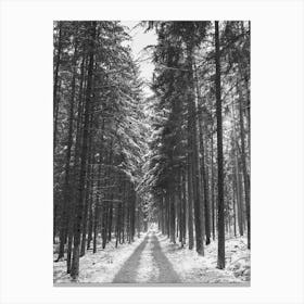 Snow Road In The Woods Forest Canvas Print