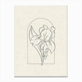 Iris Flower Canvas Print