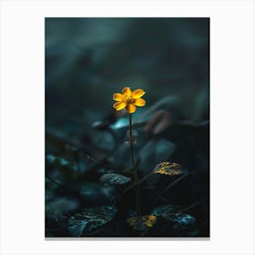 Single Yellow Flower 43 Canvas Print